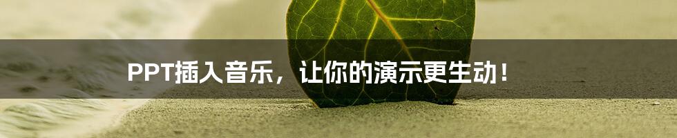 PPT插入音乐,让你的演示更生动!