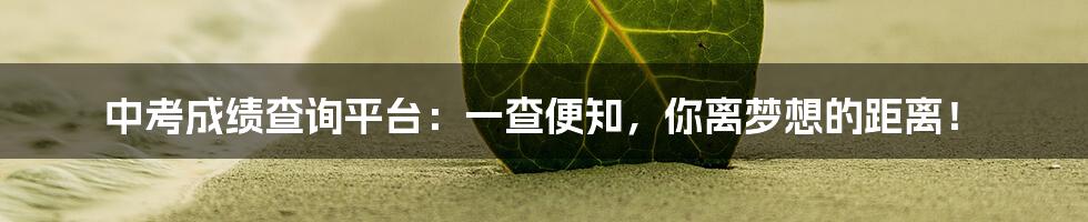 中考成绩查询平台:一查便知,你离梦想的距离!