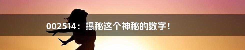 002514:揭秘这个神秘的数字!
