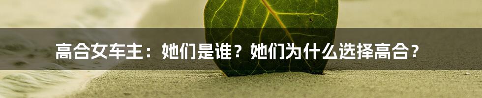 高合女车主:她们是谁?她们为什么选择高合?