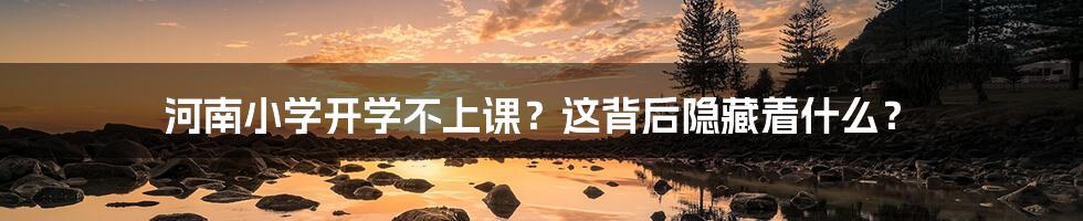 河南小学开学不上课?这背后隐藏着什么?
