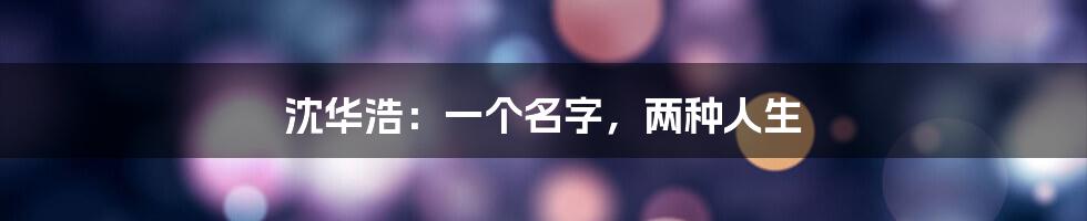 沈华浩:一个名字,两种人生