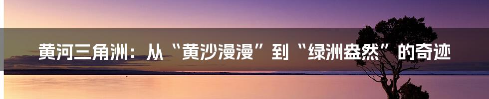 黄河三角洲:从“黄沙漫漫”到“绿洲盎然”的奇迹