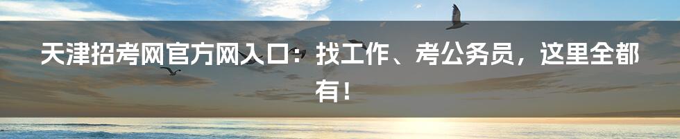 天津招考网官方网入口:找工作、考公务员,这里全都有!