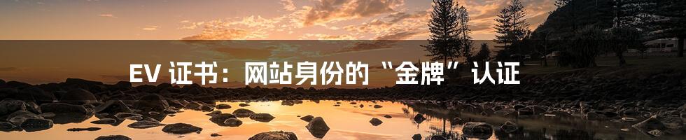 EV 证书：网站身份的“金牌”认证