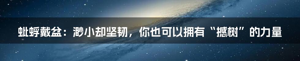 蚍蜉戴盆:渺小却坚韧,你也可以拥有“撼树”的力量
