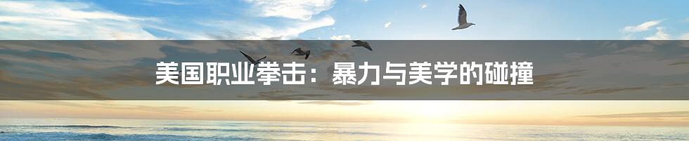 美国职业拳击:暴力与美学的碰撞