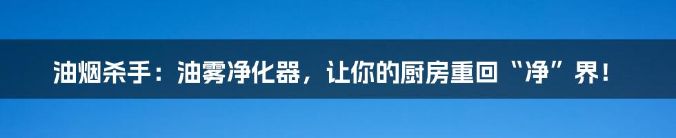 油烟杀手:油雾净化器,让你的厨房重回“净”界!