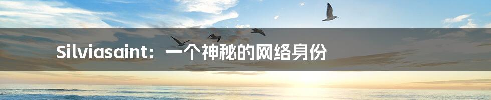 Silviasaint:一个神秘的网络身份