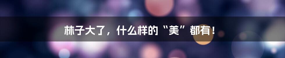 林子大了,什么样的“美”都有!