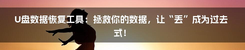 U盘数据恢复工具:拯救你的数据,让“丢”成为过去式!