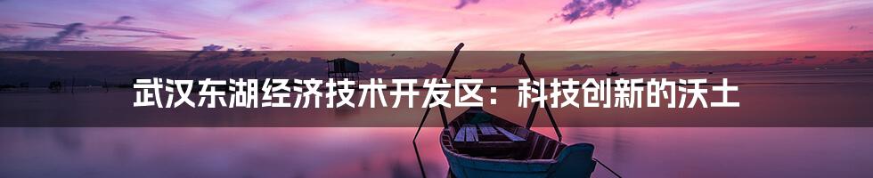 武汉东湖经济技术开发区:科技创新的沃土