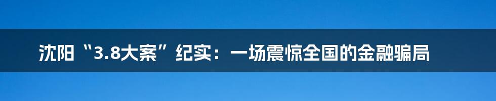 沈阳“3.8大案”纪实:一场震惊全国的金融骗局