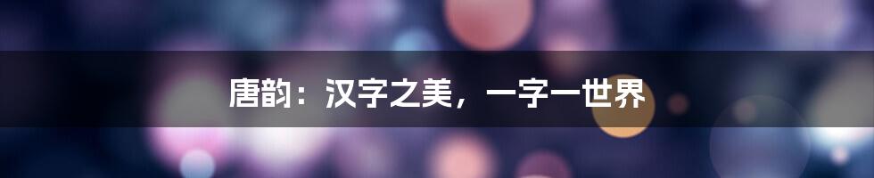 唐韵:汉字之美,一字一世界