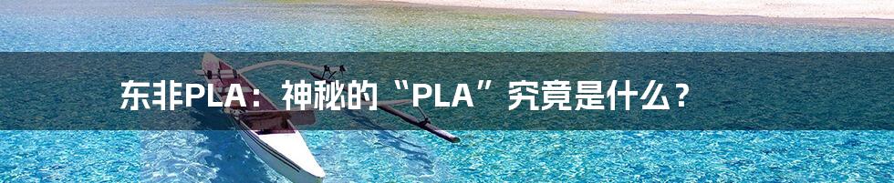 东非PLA:神秘的“PLA”究竟是什么?