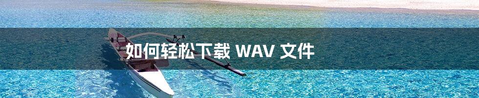 如何轻松下载 WAV 文件