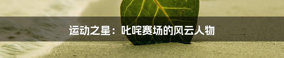 运动之星:叱咤赛场的风云人物