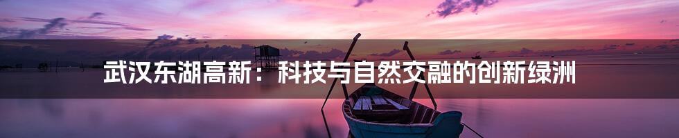 武汉东湖高新:科技与自然交融的创新绿洲