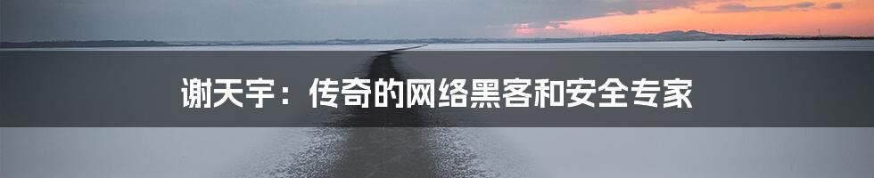 谢天宇:传奇的网络黑客和安全专家