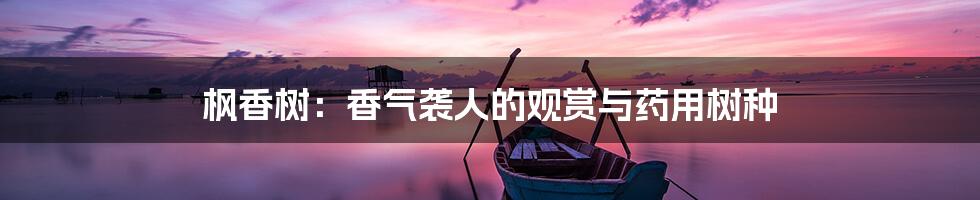 枫香树:香气袭人的观赏与药用树种