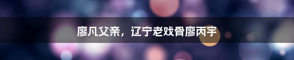 廖凡父亲,辽宁老戏骨廖丙宇
