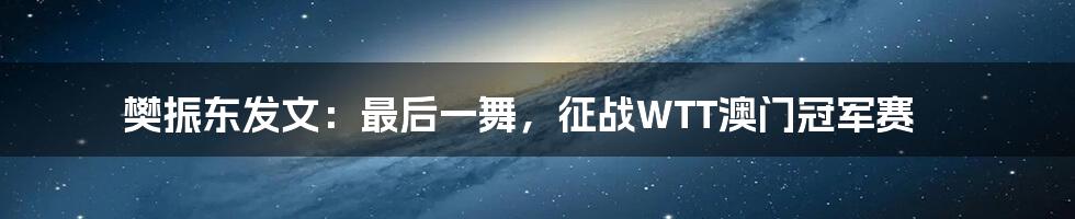 樊振东发文:最后一舞,征战WTT澳门冠军赛