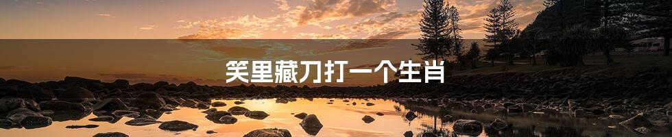 笑里藏刀打一个生肖