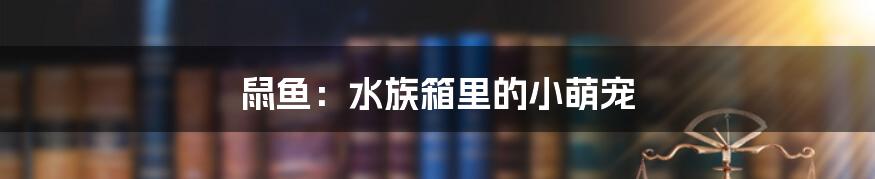 鼠鱼：水族箱里的小萌宠