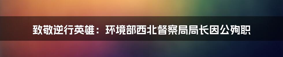 致敬逆行英雄:环境部西北督察局局长因公殉职