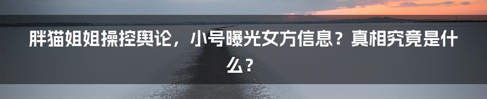 胖猫姐姐操控舆论,小号曝光女方信息?真相究竟是什么?