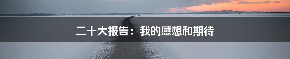 二十大报告:我的感想和期待