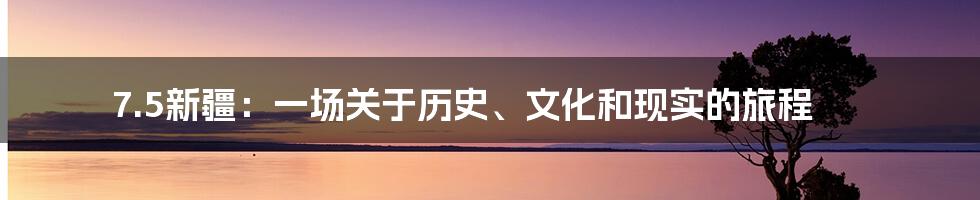 7.5新疆:一场关于历史、文化和现实的旅程