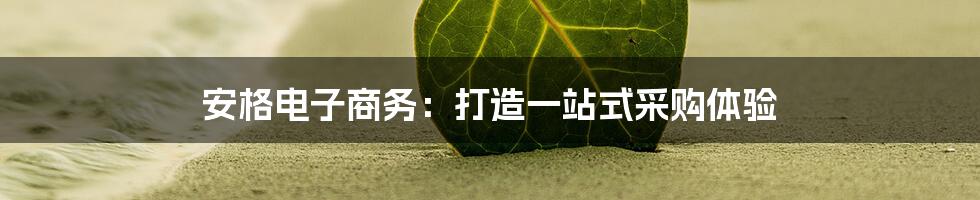 安格电子商务:打造一站式采购体验