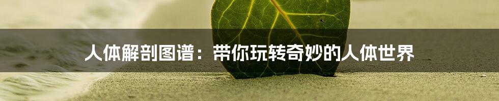人体解剖图谱:带你玩转奇妙的人体世界