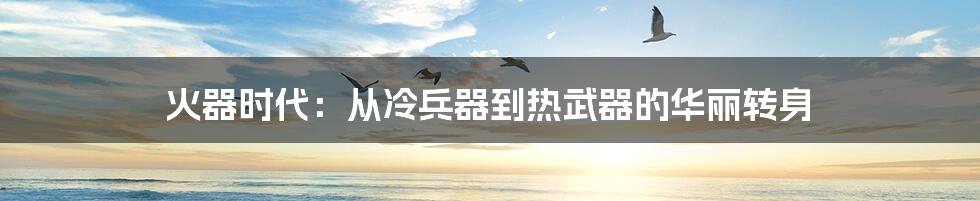 火器时代:从冷兵器到热武器的华丽转身
