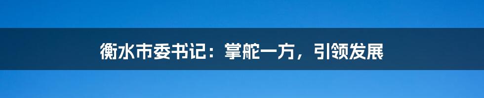 衡水市委书记:掌舵一方,引领发展