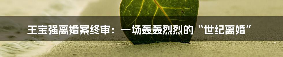 王宝强离婚案终审:一场轰轰烈烈的“世纪离婚”