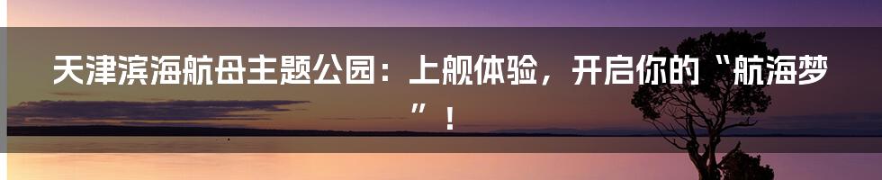 天津滨海航母主题公园:上舰体验,开启你的“航海梦”!