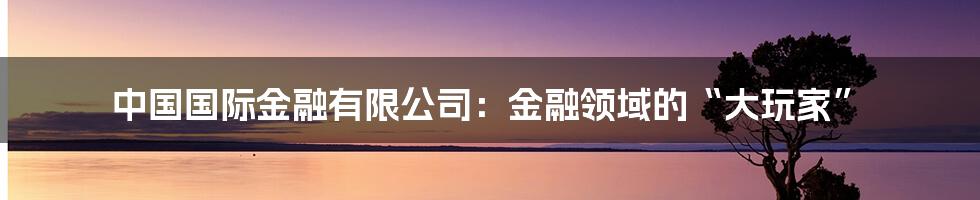 中国国际金融有限公司:金融领域的“大玩家”