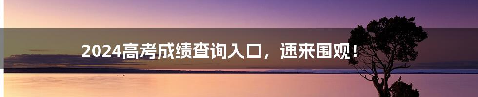 2024高考成绩查询入口,速来围观!