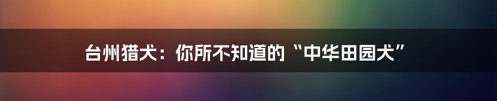 台州猎犬:你所不知道的“中华田园犬”