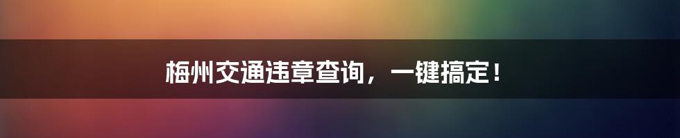 梅州交通违章查询,一键搞定!