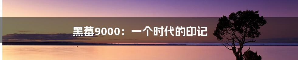 黑莓9000:一个时代的印记