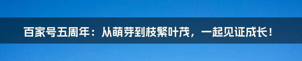 百家号五周年:从萌芽到枝繁叶茂,一起见证成长!