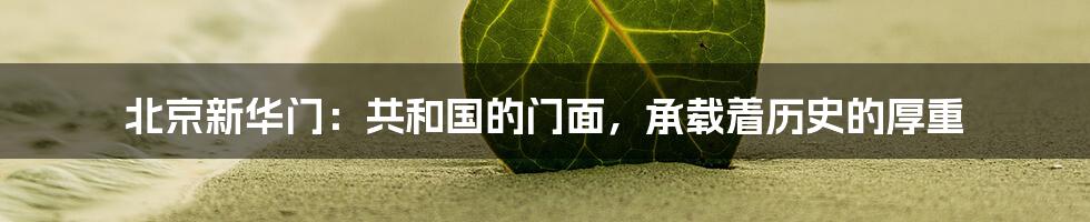 北京新华门:共和国的门面,承载着历史的厚重