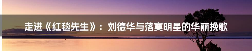 走进《红毯先生》:刘德华与落寞明星的华丽挽歌