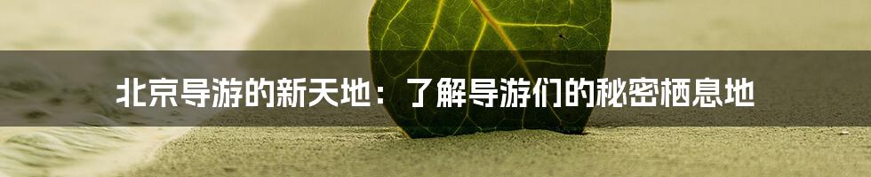 北京导游的新天地:了解导游们的秘密栖息地