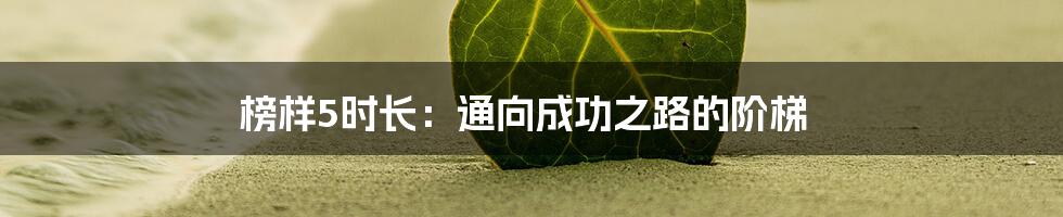榜样5时长:通向成功之路的阶梯