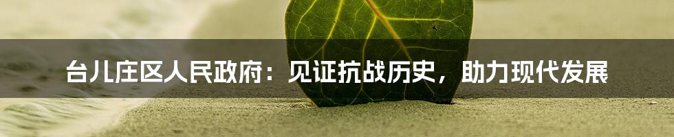 台儿庄区人民政府:见证抗战历史,助力现代发展