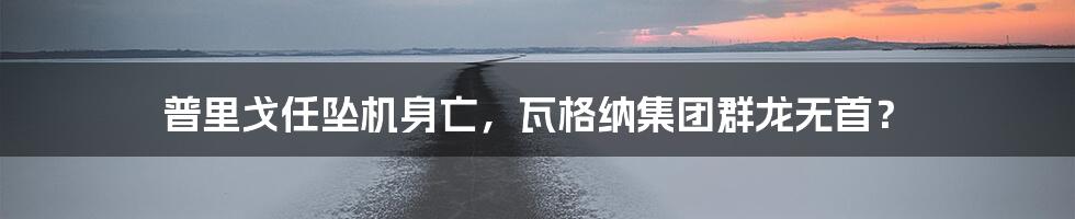 普里戈任坠机身亡,瓦格纳集团群龙无首?